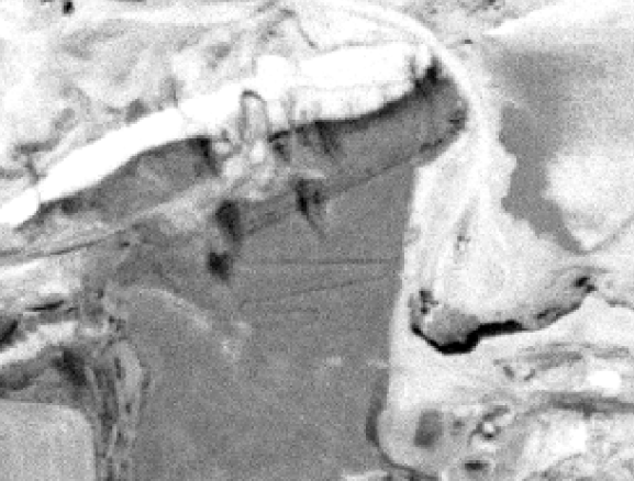 1962 Aerial photo